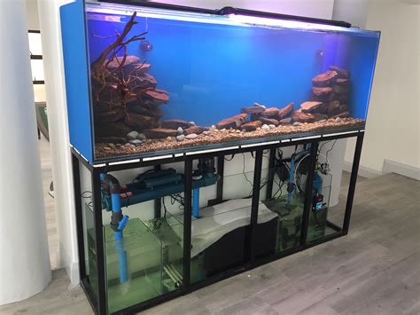 Aquarium Netbet