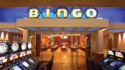 Bingo Bet Casino Brazil