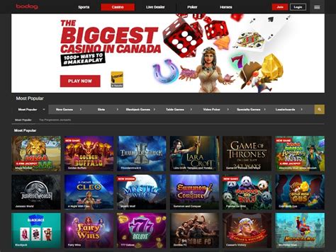 Bodog Player Complains About Overall Casino