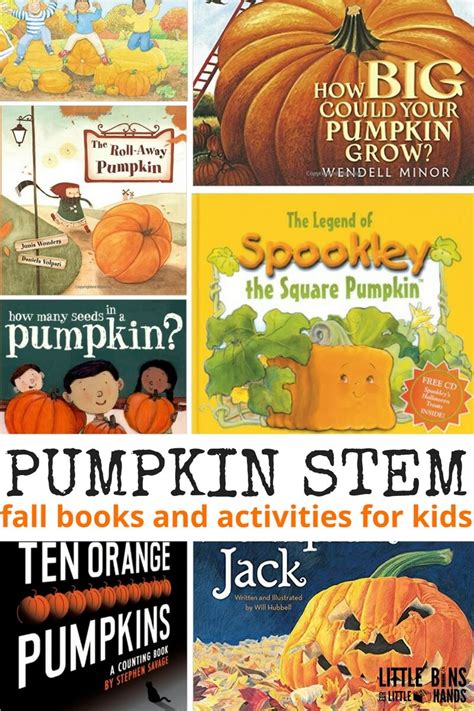 Book Of Pumpkin Parimatch