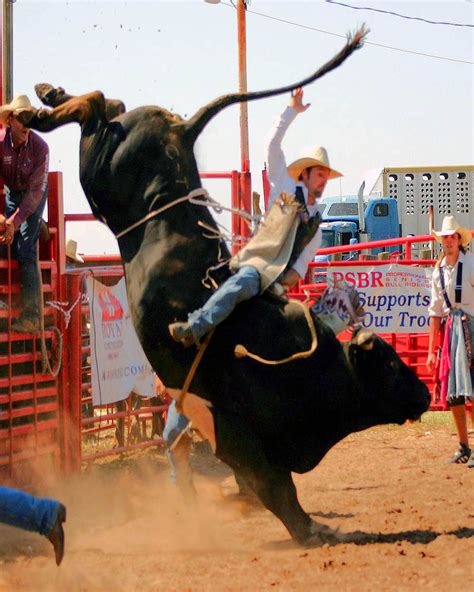 Bull In A Rodeo Parimatch