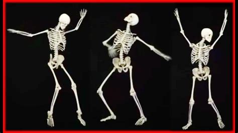 Dancing Bones Novibet