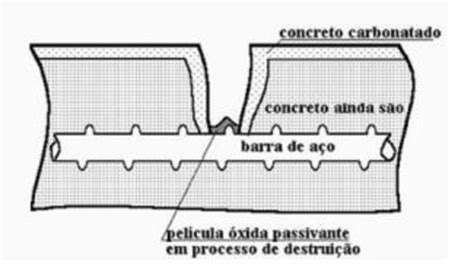 Fissuracao Viu Arbor