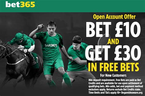 Golden Wolves Bet365