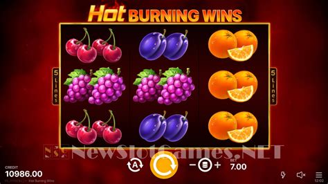 Hot Burning Wins Review 2024