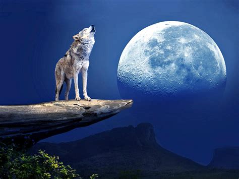 Howling At The Moon Bwin