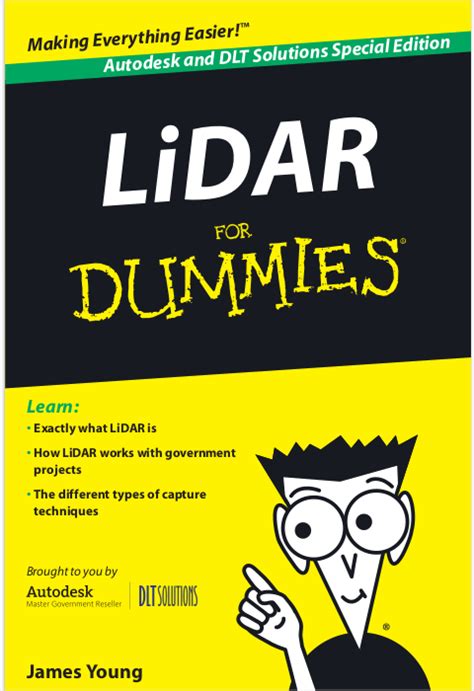 Lidar Blackjack Para Dummies