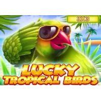 Lucky Tropical Birds 3x3 Brabet