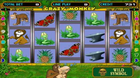 Play Crazy Monkey Slot