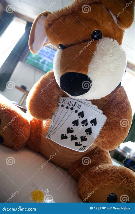 Poker Urso