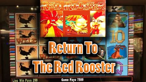 Red Rooster Casino Nsw