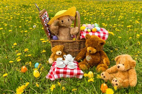 Teddy Bears Picnic Betfair