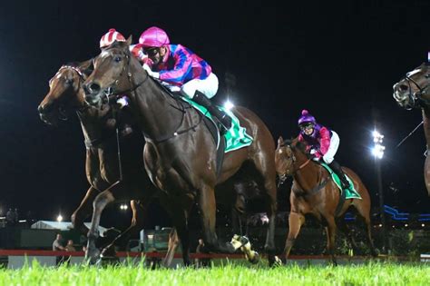 The Night Racing Betfair