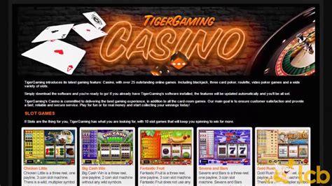 Tigergaming Casino Review