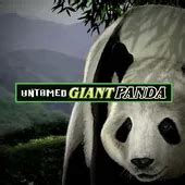 Untamed Giant Panda Review 2024