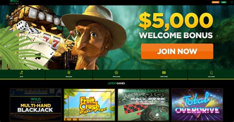 Vegas Wild Casino Online