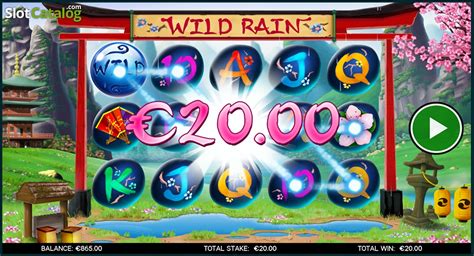 Wild Rain Review 2024