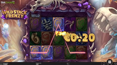 Wild Stack Frenzy Review 2024