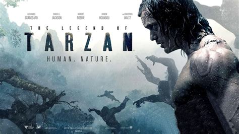 Wild Tarzan Review 2024