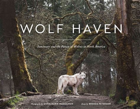 Wolf Haven Review 2024