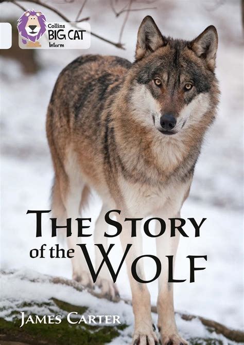 Wolf Story Review 2024